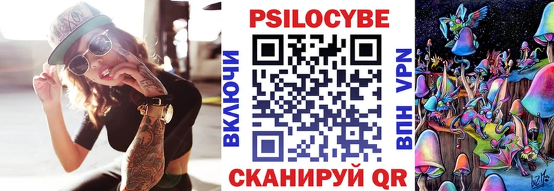 Галлюциногенные грибы Psilocybe даркнет сайт Чудово